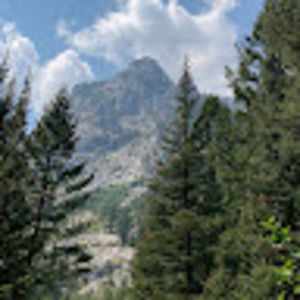 Meet your Posher, Bobby